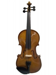 P5 P6 violon stentor II